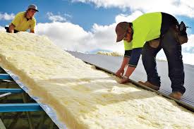 Best Attic Insulation Installation  in Royal Palm Beach, FL