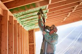 Best Eco-Friendly or Green Insulation Solutions  in Royal Palm Beach, FL