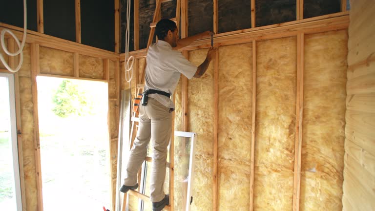 Best Radiant Barrier Insulation  in Royal Palm Beach, FL