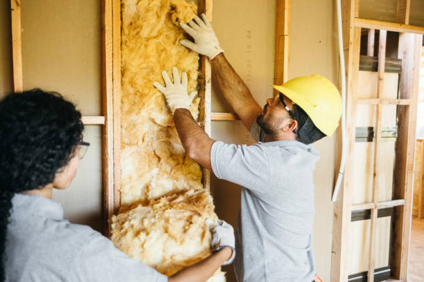 Best Crawl Space Insulation  in Royal Palm Beach, FL